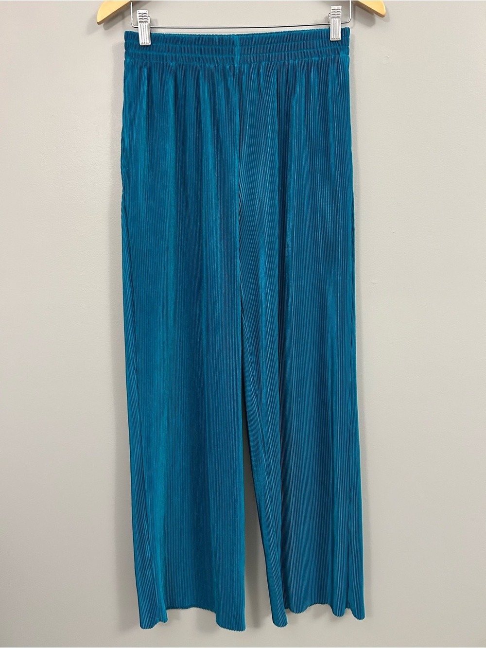 HG Teal Pleated Pants Medium